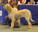 Filename=M-Twister.jpg
Filesize=50KiB
Dimensions=600x507
Date added=Jan 31, 2010 M-Twister.jpg