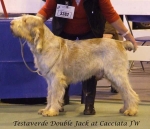 Filename=T-DoubleJack.jpg
Filesize=53KiB
Dimensions=600x519
Date added=Jan 31, 2010 T-DoubleJack.jpg