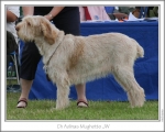Filename=A-Mughetto.jpg
Filesize=93KiB
Dimensions=868x698
Date added=Sep 17, 2009 A-Mughetto.jpg