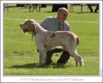 Filename=B-CuttingADash.jpg
Filesize=133KiB
Dimensions=868x698
Date added=Sep 17, 2009 B-CuttingADash.jpg