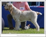 Filename=B-LikelyLad.jpg
Filesize=94KiB
Dimensions=868x698
Date added=Sep 17, 2009 B-LikelyLad.jpg