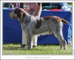 Filename=G-MagicsLittleMan.jpg
Filesize=118KiB
Dimensions=868x698
Date added=Sep 17, 2009 G-MagicsLittleMan.jpg