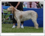 Filename=H-DonTLookEthel.jpg
Filesize=99KiB
Dimensions=868x698
Date added=Sep 17, 2009 H-DonTLookEthel.jpg