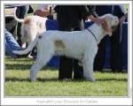 Filename=H-LouisDousset.jpg
Filesize=116KiB
Dimensions=868x698
Date added=Sep 17, 2009 H-LouisDousset.jpg