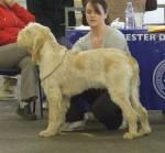 Filename=B-Finlay.JPG
Filesize=52KiB
Dimensions=600x557
Date added=Sep 17, 2009 B-Finlay.JPG