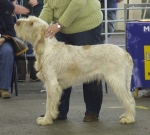Nom du fichier=Dog.JPG
Taille du fichier=53Ko
Dimensions : 600x543
Ajouté le : 17 Septembre 2009 Dog.JPG