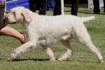 Filename=K-Soly.jpg
Filesize=356KiB
Dimensions=768x517
Date added=Sep 17, 2009 K-Soly.jpg