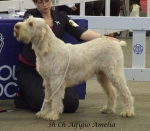 Filename=A-Amelia.jpg
Filesize=48KiB
Dimensions=600x525
Date added=Jan 31, 2010 A-Amelia.jpg