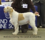 Filename=B-CuttingTheCards.jpg
Filesize=54KiB
Dimensions=600x532
Date added=Jan 31, 2010 B-CuttingTheCards.jpg