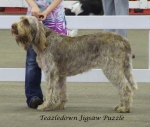 Filename=T-JigsawPuzzle.jpg
Filesize=50KiB
Dimensions=600x508
Date added=Jan 31, 2010 T-JigsawPuzzle.jpg