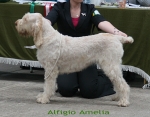 Filename=A-Amelia.jpg
Filesize=100KiB
Dimensions=700x550
Date added=Sep 17, 2009 A-Amelia.jpg