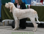 Filename=B-BillyElliot.jpg
Filesize=97KiB
Dimensions=700x550
Date added=Sep 17, 2009 B-BillyElliot.jpg