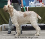 Filename=B-Daydream.jpg
Filesize=57KiB
Dimensions=600x523
Date added=Sep 17, 2009 B-Daydream.jpg