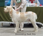 Filename=B-RudeBoy.jpg
Filesize=53KiB
Dimensions=600x496
Date added=Sep 17, 2009 B-RudeBoy.jpg