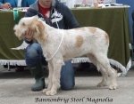 Filename=B-SteelMagnolia.jpg
Filesize=53KiB
Dimensions=600x471
Date added=Sep 17, 2009 B-SteelMagnolia.jpg