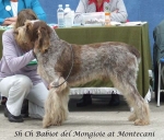 Filename=Babiot-DelMongioie.jpg
Filesize=68KiB
Dimensions=600x514
Date added=Sep 17, 2009 Babiot-DelMongioie.jpg