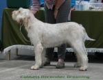 Filename=C-DecemberDreaming.jpg
Filesize=94KiB
Dimensions=700x550
Date added=Sep 17, 2009 C-DecemberDreaming.jpg