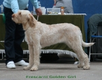 Filename=F-GoldenGirl.jpg
Filesize=96KiB
Dimensions=700x550
Date added=Sep 17, 2009 F-GoldenGirl.jpg