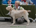 Dateiname=F-RoccaChe.jpg
Dateigröße=100KB
Abmessungen: 700x550
hinzugefügt am: 17. September 2009 F-RoccaChe.jpg