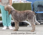 Filename=G-GaietysFlowerGirl.jpg
Filesize=57KiB
Dimensions=600x488
Date added=Sep 17, 2009 G-GaietysFlowerGirl.jpg