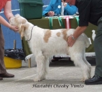 Filename=H-CheekyVimto.jpg
Filesize=57KiB
Dimensions=600x541
Date added=Sep 17, 2009 H-CheekyVimto.jpg