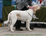 Filename=H-LouisDousset.jpg
Filesize=96KiB
Dimensions=700x550
Date added=Sep 17, 2009 H-LouisDousset.jpg