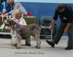Filename=H-RockStar.jpg
Filesize=112KiB
Dimensions=700x550
Date added=Sep 17, 2009 H-RockStar.jpg