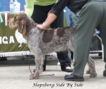 Filename=H-SideBySide.jpg
Filesize=56KiB
Dimensions=600x503
Date added=Sep 17, 2009 H-SideBySide.jpg