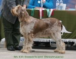Filename=I-Dessinzano.jpg
Filesize=130KiB
Dimensions=700x550
Date added=Sep 17, 2009 I-Dessinzano.jpg