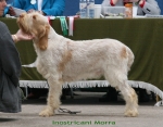 Filename=I-Morra.jpg
Filesize=96KiB
Dimensions=700x550
Date added=Sep 17, 2009 I-Morra.jpg