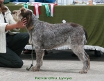Dateiname=K-Lyvya.jpg
Dateigröße=109KB
Abmessungen: 700x550
hinzugefügt am: 17. September 2009 K-Lyvya.jpg