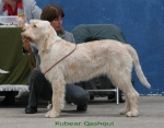 Filename=K-Qashqui.jpg
Filesize=105KiB
Dimensions=700x550
Date added=Sep 17, 2009 K-Qashqui.jpg