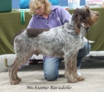 Dateiname=M-Baradello.jpg
Dateigröße=56KB
Abmessungen: 600x533
hinzugefügt am: 17. September 2009 M-Baradello.jpg