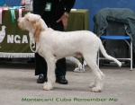 Filename=M-CubaRememberMe.jpg
Filesize=108KiB
Dimensions=700x550
Date added=Sep 17, 2009 M-CubaRememberMe.jpg
