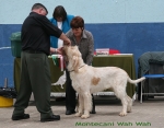 Filename=M-WahWah.jpg
Filesize=115KiB
Dimensions=700x550
Date added=Sep 17, 2009 M-WahWah.jpg