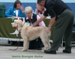 Filename=N-BoogieBabe.jpg
Filesize=100KiB
Dimensions=700x550
Date added=Sep 17, 2009 N-BoogieBabe.jpg