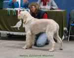 Dateiname=N-GrooveMaster.jpg
Dateigröße=112KB
Abmessungen: 700x550
hinzugefügt am: 17. September 2009 N-GrooveMaster.jpg
