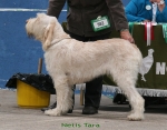 Filename=N-Tara.jpg
Filesize=114KiB
Dimensions=700x550
Date added=Sep 17, 2009 N-Tara.jpg