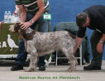 Filename=R-Roma.jpg
Filesize=122KiB
Dimensions=700x550
Date added=Sep 17, 2009 R-Roma.jpg