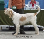 Filename=S-Appiani.jpg
Filesize=51KiB
Dimensions=600x526
Date added=Sep 17, 2009 S-Appiani.jpg