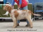 Filename=S-Borodin.jpg
Filesize=56KiB
Dimensions=600x444
Date added=Sep 17, 2009 S-Borodin.jpg