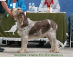 Filename=S-Izzeta.jpg
Filesize=120KiB
Dimensions=700x550
Date added=Sep 17, 2009 S-Izzeta.jpg