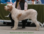 Filename=T-NewDawn.jpg
Filesize=119KiB
Dimensions=700x550
Date added=Sep 17, 2009 T-NewDawn.jpg