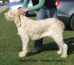 Filename=W-RubyTuesday.jpg
Filesize=74KiB
Dimensions=600x524
Date added=Sep 17, 2009 W-RubyTuesday.jpg