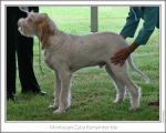 Filename=M-CubaRememberMe.jpg
Filesize=121KiB
Dimensions=868x698
Date added=Sep 17, 2009 M-CubaRememberMe.jpg