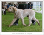 Filename=N-GrooveMaster.jpg
Filesize=87KiB
Dimensions=868x698
Date added=Sep 17, 2009 N-GrooveMaster.jpg