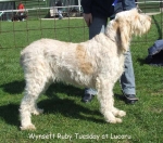Filename=W-RubyTuesday.jpg
Filesize=93KiB
Dimensions=600x530
Date added=Sep 17, 2009 W-RubyTuesday.jpg