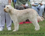 Filename=G-MagicGaietyGirl.jpg
Filesize=63KiB
Dimensions=600x476
Date added=Sep 17, 2009 G-MagicGaietyGirl.jpg