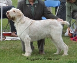 Filename=M-Francesco.jpg
Filesize=65KiB
Dimensions=600x492
Date added=Sep 17, 2009 M-Francesco.jpg