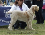 Filename=M-JustEva.jpg
Filesize=85KiB
Dimensions=600x477
Date added=Sep 17, 2009 M-JustEva.jpg